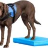 FitPAWS Balance Pad Balancematratze 38 X 46.5 X 5 Cm -Katzen Hundebedarf Geschäft PT3003 2