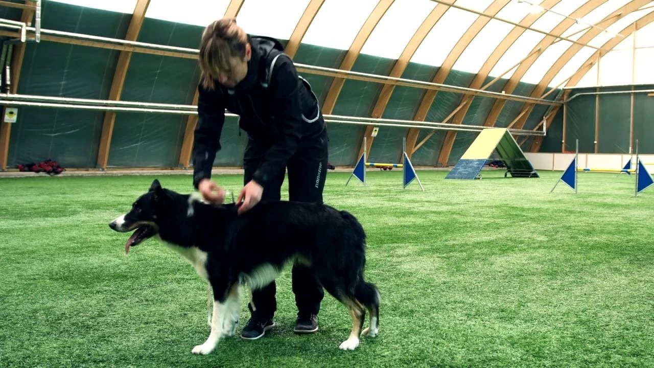 Hurtta Expedition Wintermantel Blau 4 Hurtta Expedition Wintermantel Blau – Bild 2