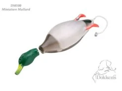 Dokken's Dead Fowl Stockente