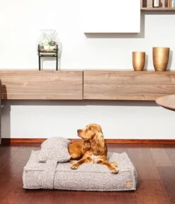 PET & Co. Cordi Boucle L Grau -Katzen Hundebedarf Geschäft dogyecblg 2