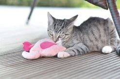 Aumüller Spielkissen Flamingo Pinky 14 X 4 Cm -Katzen Hundebedarf Geschäft f123 4