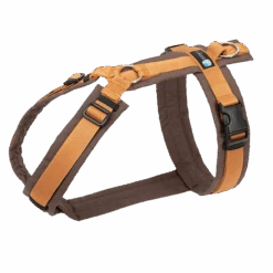 Anny-X Geschirr Fun Braun-bernstein