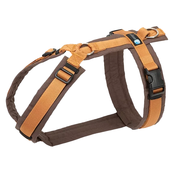 Anny-X Geschirr Fun Braun-bernstein