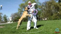 Puller-Ringe 2 Stück 7 Puller-Ringe 2 Stück -Katzen Hundebedarf Geschäft hZBGIyJX3H8 17736 maxresdefault