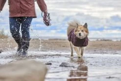 Hurtta Mudventure ECO Regenjacke Aubergine -Katzen Hundebedarf Geschäft hurttamudventurecoateco eggplant aw23 55