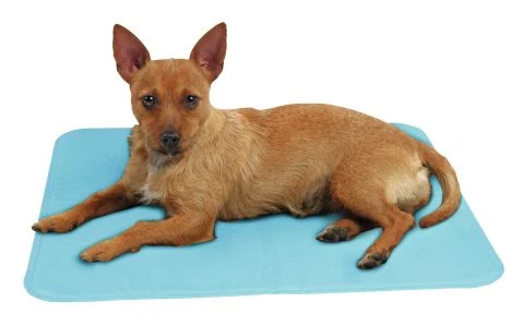 Kühlmatte 4 Kühlmatte – Bild 2