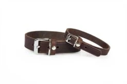 Das Lederband Halsband Weinheim Mocca Breite 10 Mm / Länge 32 Cm