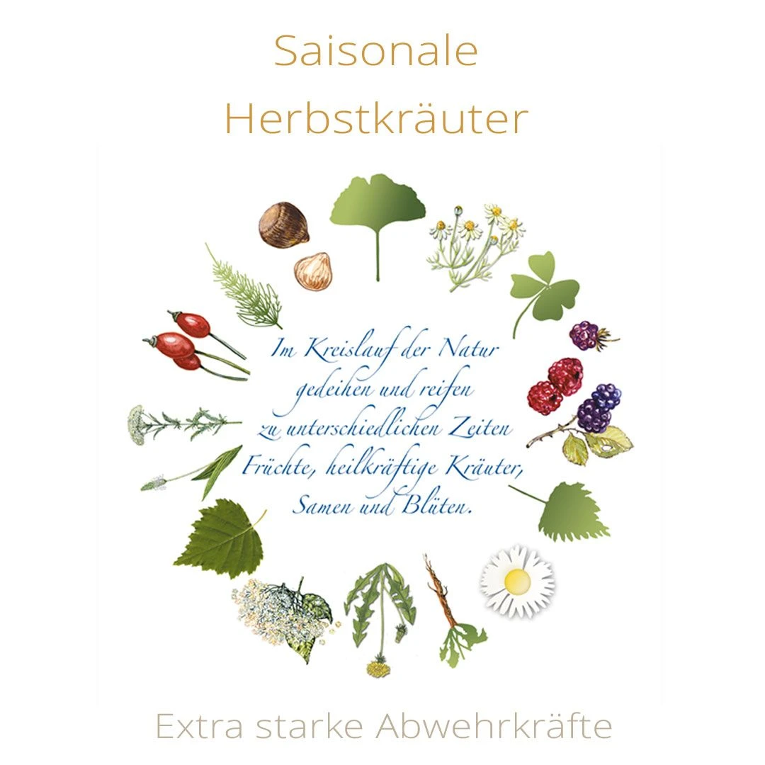 Klaras BARF-Kräuterschätze 3 BIO 65 G 5 Klaras BARF-Kräuterschätze 3 BIO 65 G – Bild 3