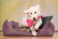 Laboni Hundespielzeug Franzi Flamingo 22 X 7 X 10 Cm -Katzen Hundebedarf Geschäft lab10900 2