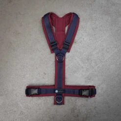 Anny-X Geschirr LE Fun Bordeaux / Blau XL, Hals 48 - 70 Cm / Brust 78 - 96 Cm