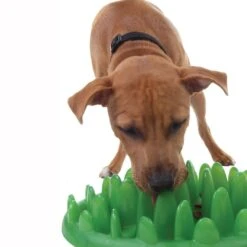 Antischling Futternapf Grün 40 X 30 X 10 Cm