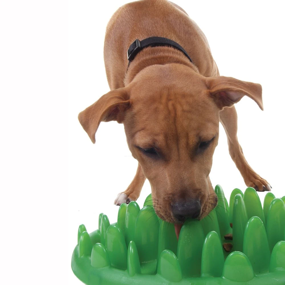 Antischling Futternapf Grün 40 X 30 X 10 Cm 3 Antischling Futternapf Grün 40 X 30 X 10 Cm