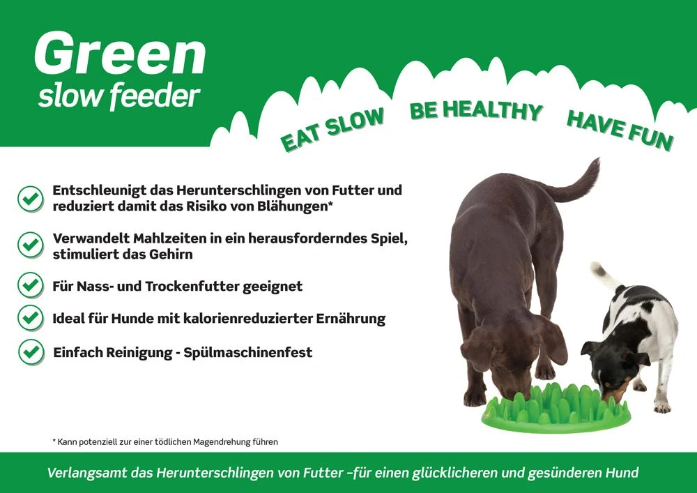 Antischling Futternapf Grün 40 X 30 X 10 Cm 4 Antischling Futternapf Grün 40 X 30 X 10 Cm – Bild 2