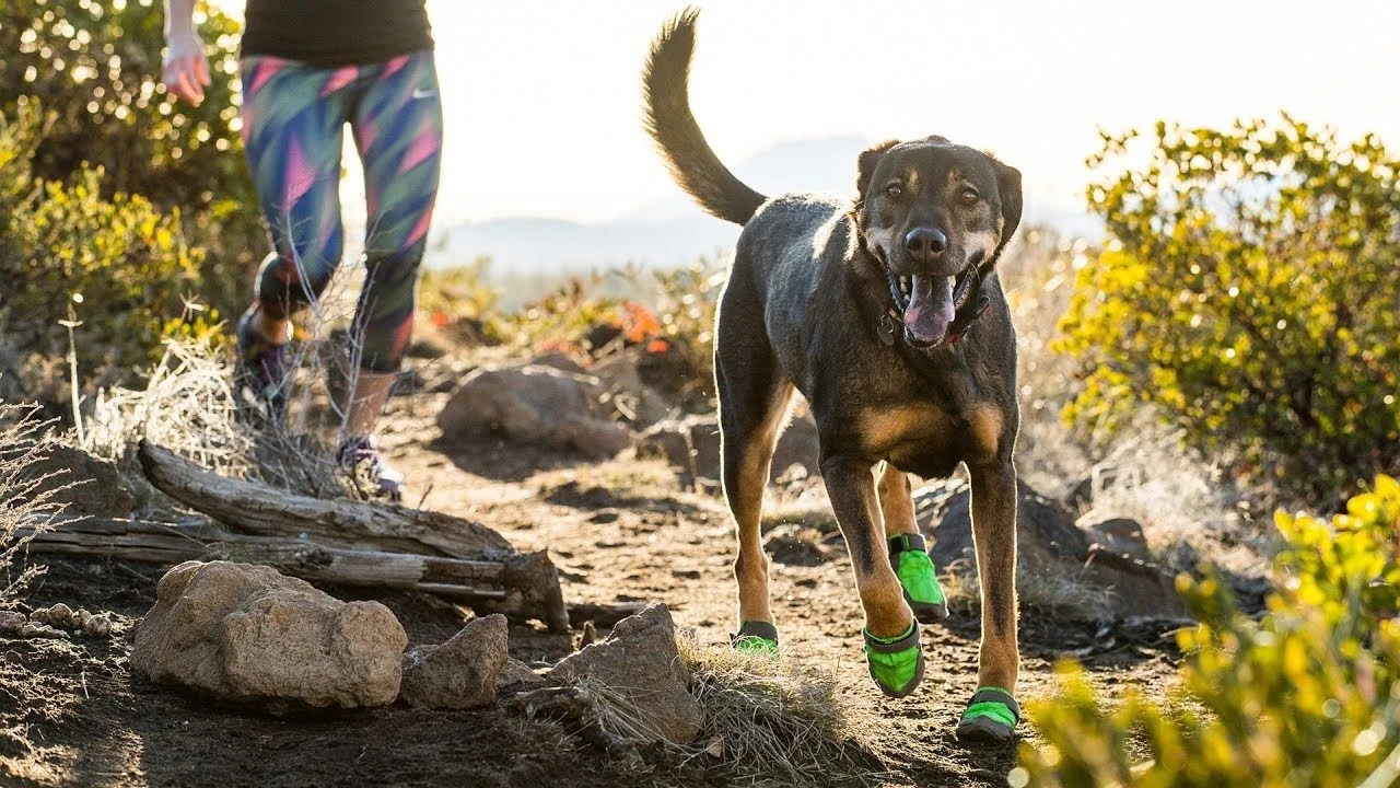 RUFFWEAR Polar Trex Winterstiefel - 4er Pack 3 RUFFWEAR Polar Trex Winterstiefel - 4er Pack
