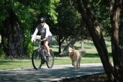 PetEgo Cycleash Fahrradleine -Katzen Hundebedarf Geschäft p1130 4