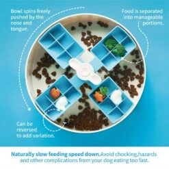 Pet Dream House Slow Feeder Windmühle Blau Ø 25 X 9.2 Cm 11 Pet Dream House Slow Feeder Windmühle Blau Ø 25 X 9.2 Cm -Katzen Hundebedarf Geschäft pdhf105.4