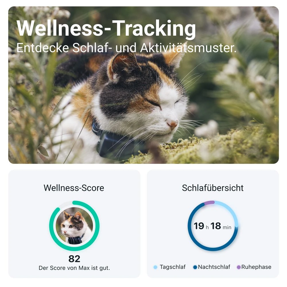 Tractive GPS Tracker Cat 5 Mini 6 Tractive GPS Tracker Cat 5 Mini – Bild 4