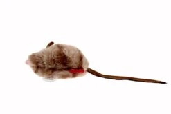 GiGwi Melody Chaser Maus 9 X 5 Cm -Katzen Hundebedarf Geschäft q7000 2