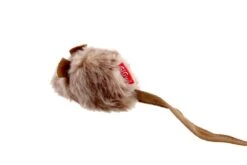 GiGwi Melody Chaser Maus 9 X 5 Cm -Katzen Hundebedarf Geschäft q7000 6