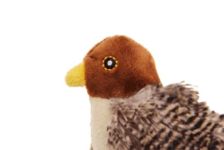 GiGwi Melody Chaser Vogel 11 X 6.5 X 8 Cm -Katzen Hundebedarf Geschäft q7002 2